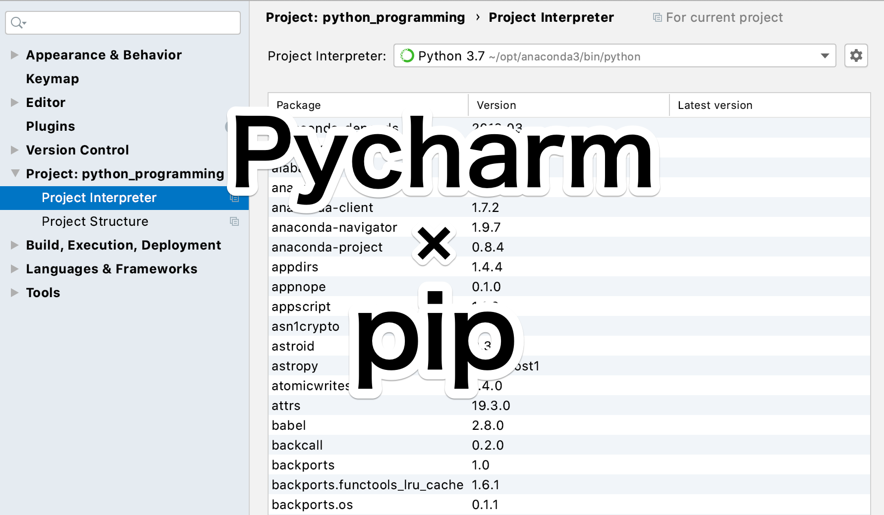 Python　Pycharmでpipインストールしたパッケージを有効にする