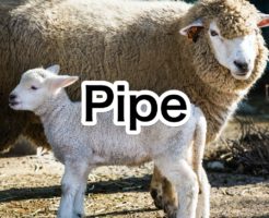 Python　親子間プロセス　Pipe